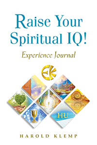 Raise Your Spiritual IQ! Experience Journal