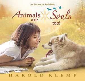 Animals Are Souls Too!